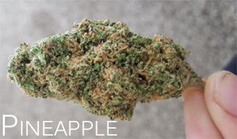 Pineapple-cannabis-strain