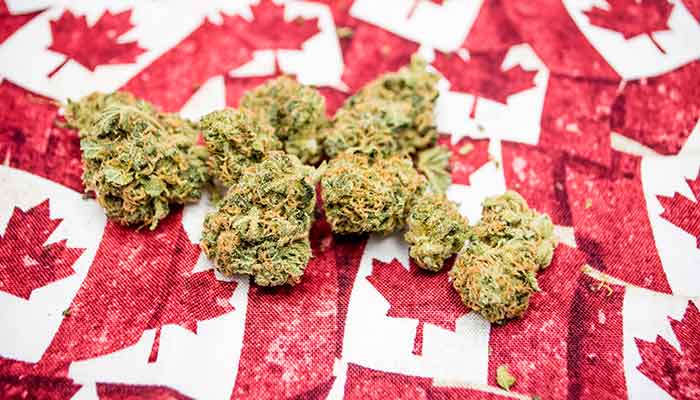 Canada-Introduces-Cannabis-Legalization-Framework