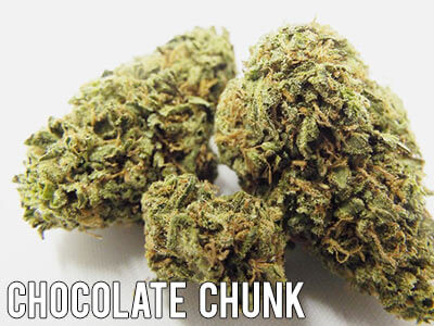 Chocolate-Chunk-marijuana-strain-indica