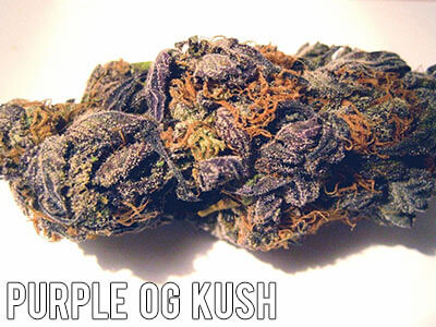 Purple-OG-Kush