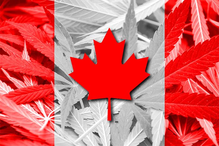 Canadian-Supreme-Court-Rules-All-Forms-of-Medical-Marijuana-Legal