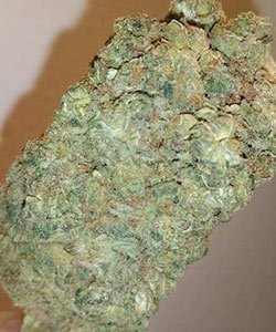 Girl-Scout-Cookies
