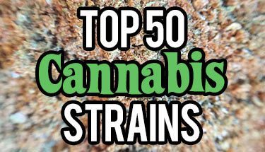 Top-50-Cannabis-Strains-sm
