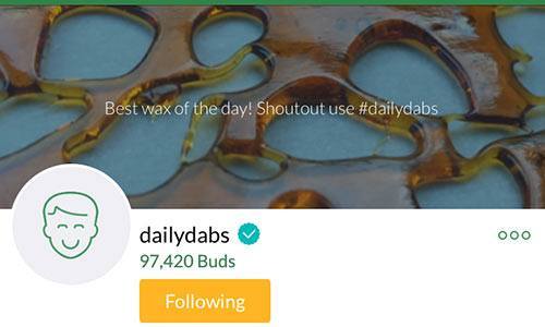 DailyDabs-Mass-Roots-Account