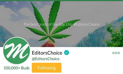 EditorsChoice-Massroots-Account