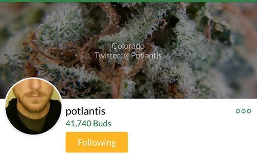 Potlantis-MassRoots-Account