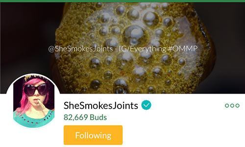 SheSmokesJoints-Mass-Roots-Account