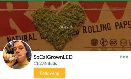 SoCalGrownLED-MassRoots-account