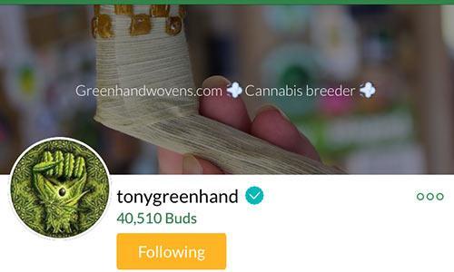 TonyGreenHand-MassRoots-Profile