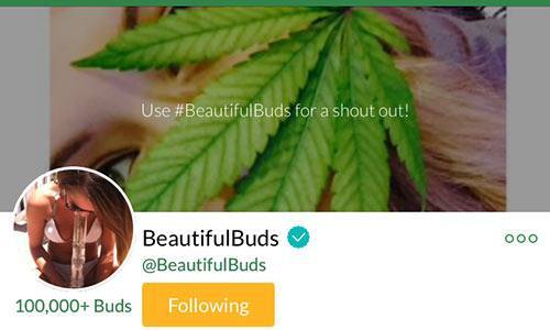 beautifulbuds-MassRoots