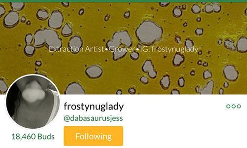 dabasaurusjess-MassRoots-Account