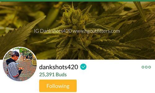 dankshots420-Mass-Roots-Account