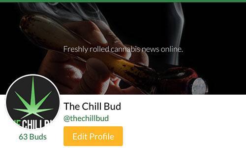 thechillbud-MassRoots-Account