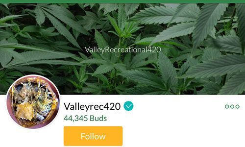 valleyrec420-Mass-Roots-Account