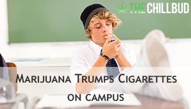 Study-Says-More-Marijuana-Smokers-than-Cigarette-Smokers-on-Campus-sm
