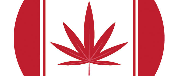 potential-problems-with-legalization-in-canada-marijuana