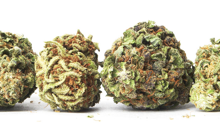 20-Cannabis-Strains-High-In-THC