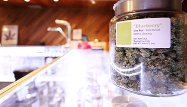 Canada's-Transition-From-Medical-Marijuana-to-Recreational-Cannabis