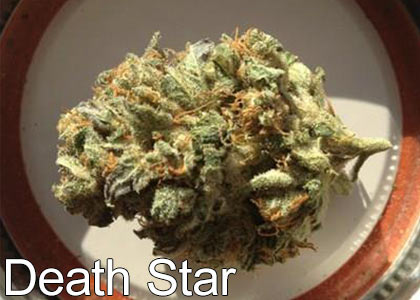 Death-Star-Strain
