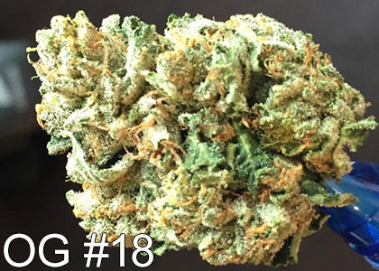 OG-#18-marijuana-strain