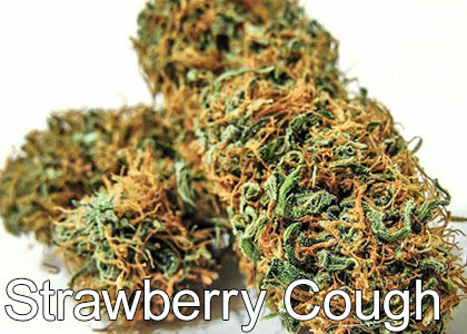 Strawberry-Cough