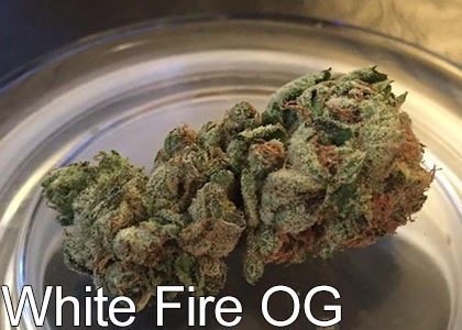 White-Fire-OG