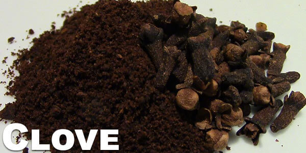 Clove-smoking-and-vaporizing