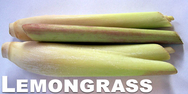 Lemongrass