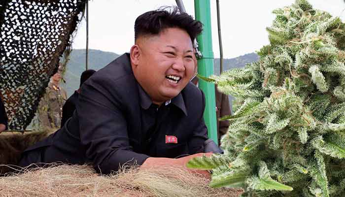 North-Korea-Best-Korea-for-Pot-Smokers