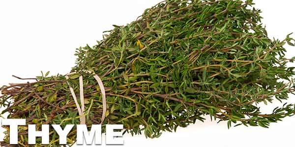 Thyme-leaves