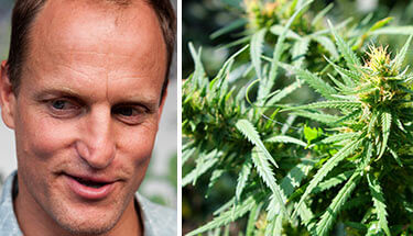 Woody-Harrelson-to-Open-Hawaiian-Marijuana-Dispensary-sm