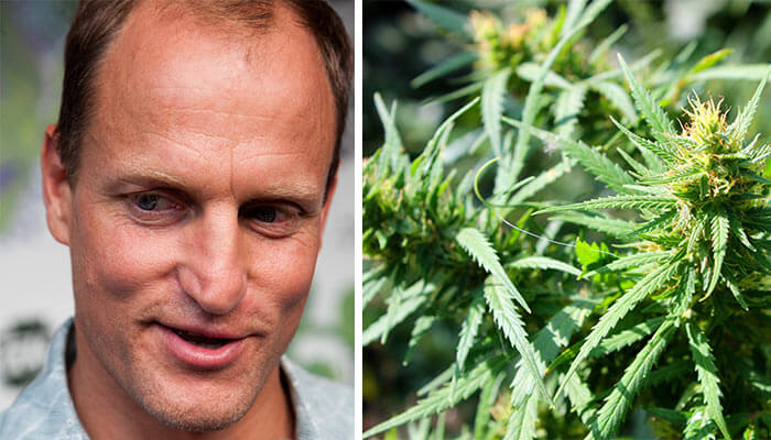 Woody-Harrelson-to-Open-Hawaiian-Marijuana-Dispensary