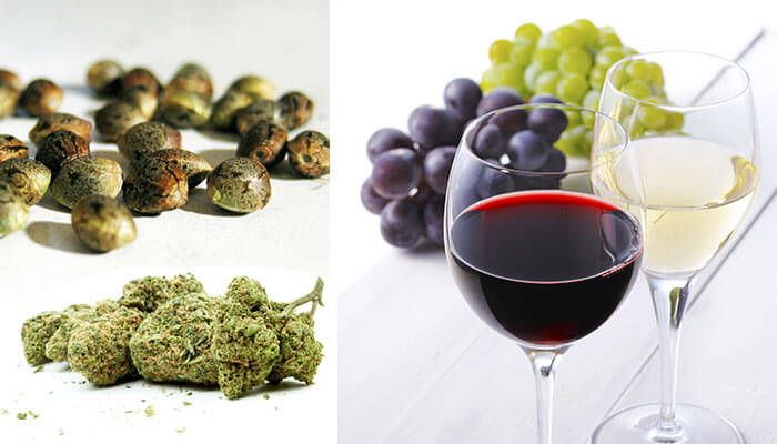 Comparing-cannabis-to-wine-varieties