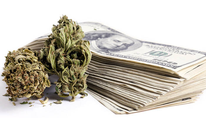 Most-Expensive-Marijuana-Strains