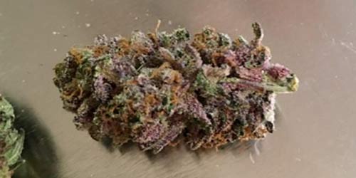 real purple weed