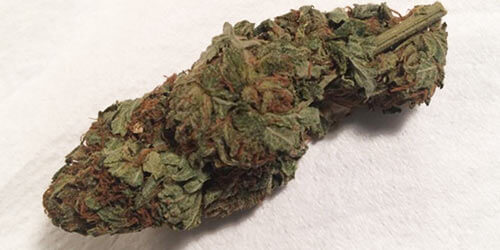 Strawberry-wake-and-bake-marijuana-strain