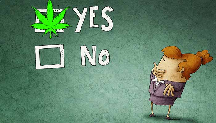 poll-majority-of-maine-voters-favor-recreational-cannabis-legalization