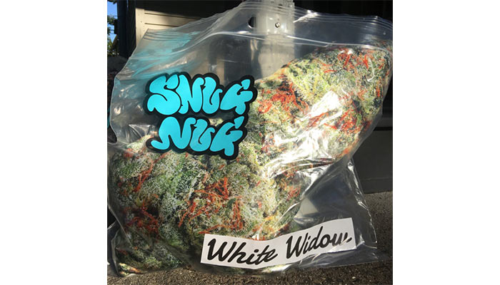 Snug-Nug-cannabis-pillow