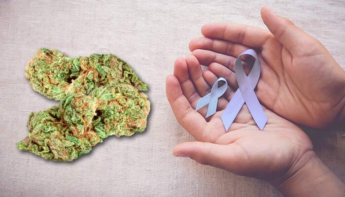Big-Pharma-Admits-Cannabis-Kills-Cancer...-Finally!