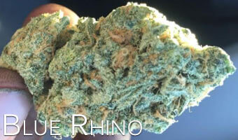 Blue-Rhino-strain-for-anxiety