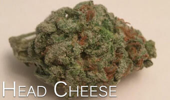 Head-Cheese-marijuana