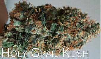 Holy-Grail-Kush-for-anxiety