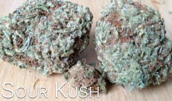 Sour-Kush-Cannabis