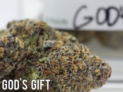 God's-Gift-cannabis-indica-strain