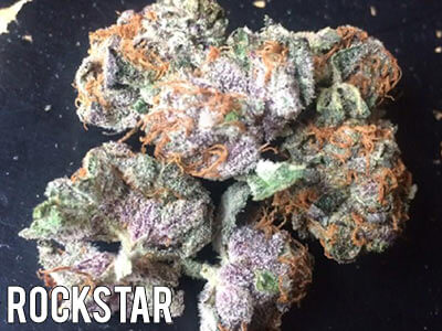 rockstar strain yield