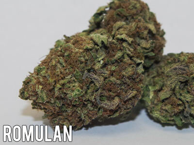 Romulan-weed