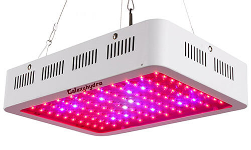 Roleadro 300w led store grow light