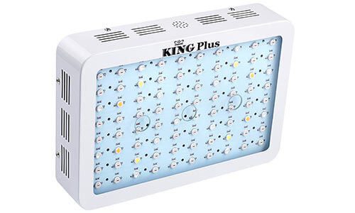 King-Plus-800W