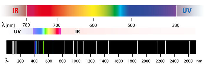 Full Spectrum LED Grow Lights