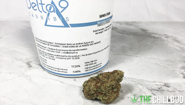 Reviewing-Canadian-Recreational-Weed